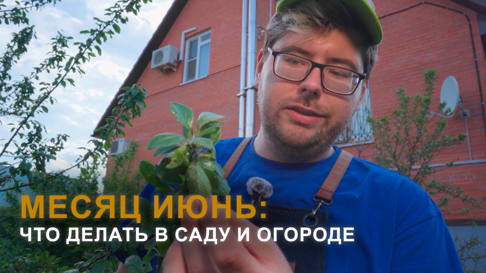 Что делать в саду и огороде в июне