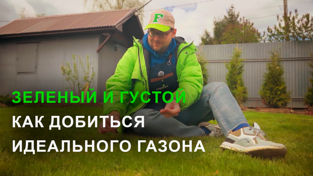 Весенний уход за газоном - что и когда делать