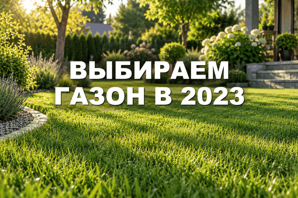 Как выбрать травы для газона в 2023 году