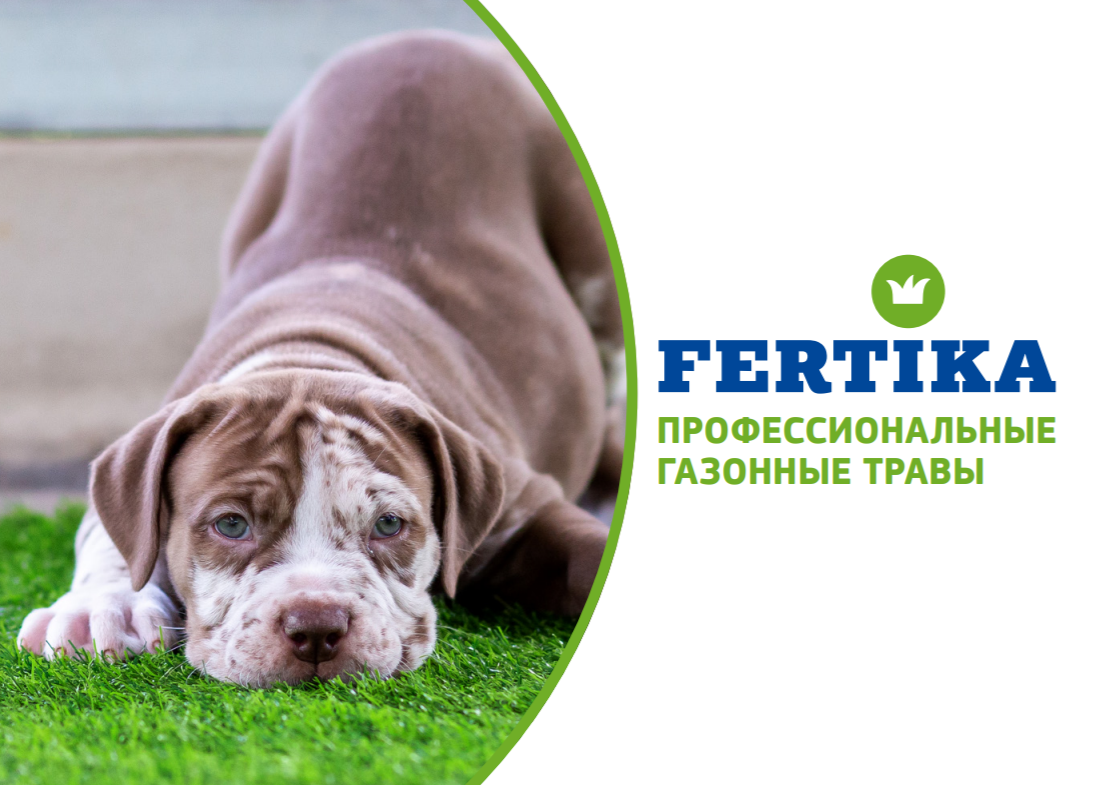 НОВИНКА! Компания АО «Фертика» запустила новую линейку газонных трав.