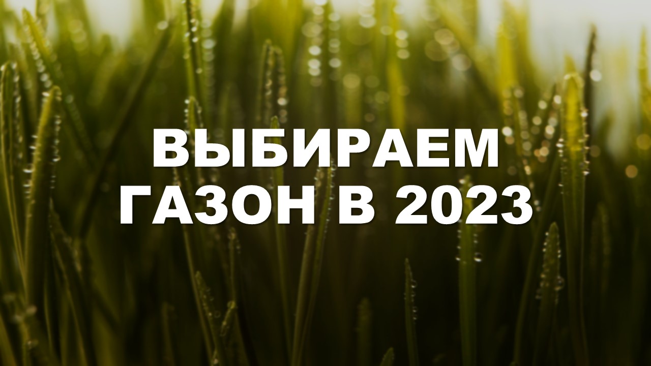 Как выбрать травы для газона в 2023 году