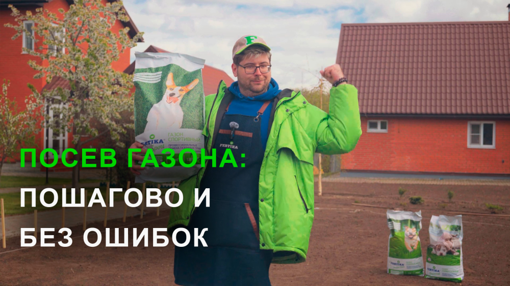 Как правильно посеять газон