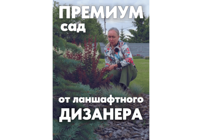 Премиум сад от ланшафтного дизайнера