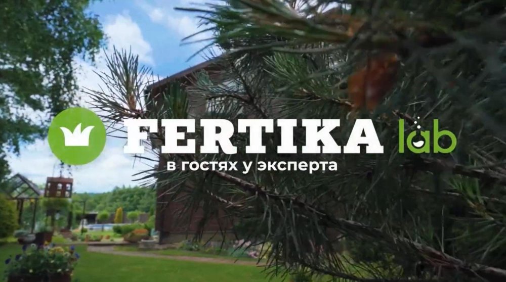 Усадьба как из Pinterest: английская теплица, лесной уголок и хвойные с топиарной стрижкой